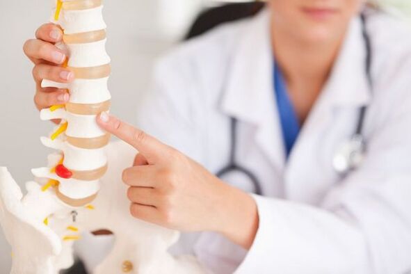 Doctor mostrando modelo de columna